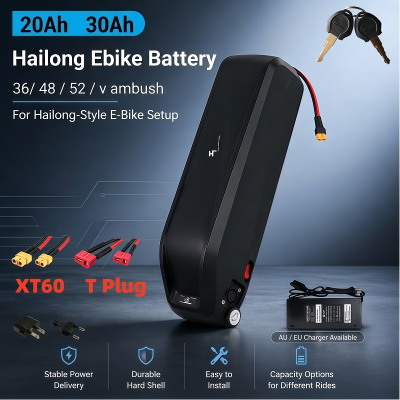 بطارية هايلونج متعددة الاستخدا - مراجعة Ebike Battery 48V 20Ah Hailong وسعره
